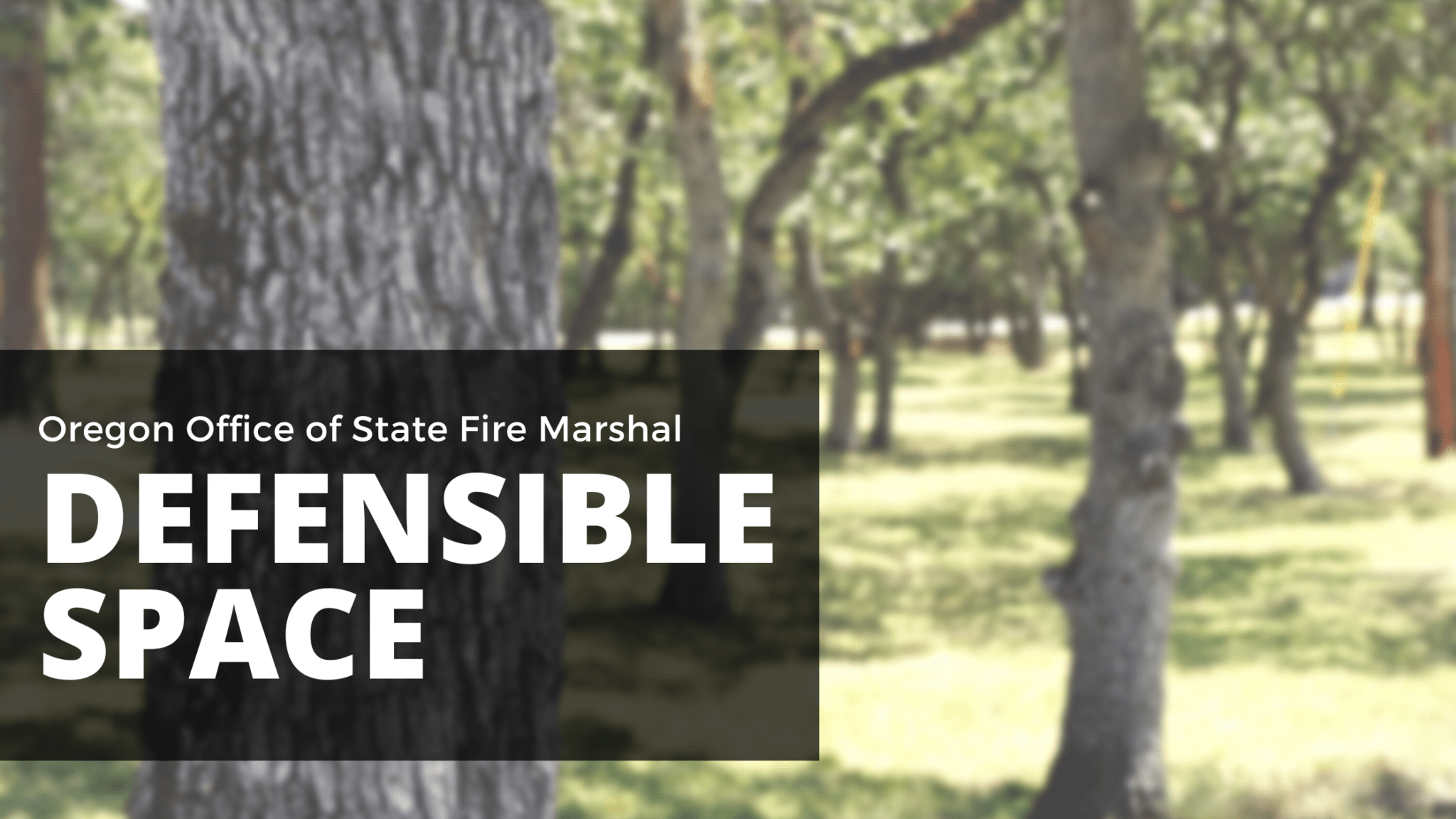 What Is Defensible Space? – OREGON STATE FIRE MARSHAL