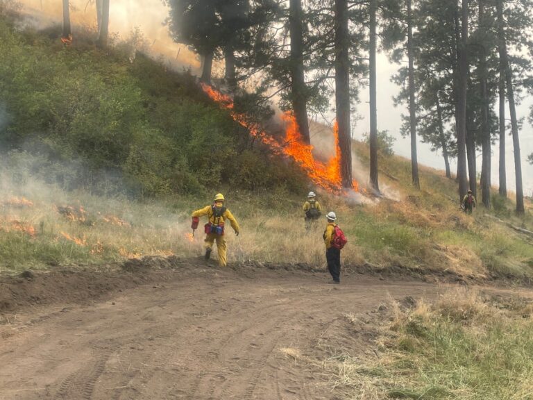 Double Creek Fire grows to 53,539 acres – OREGON STATE FIRE MARSHAL