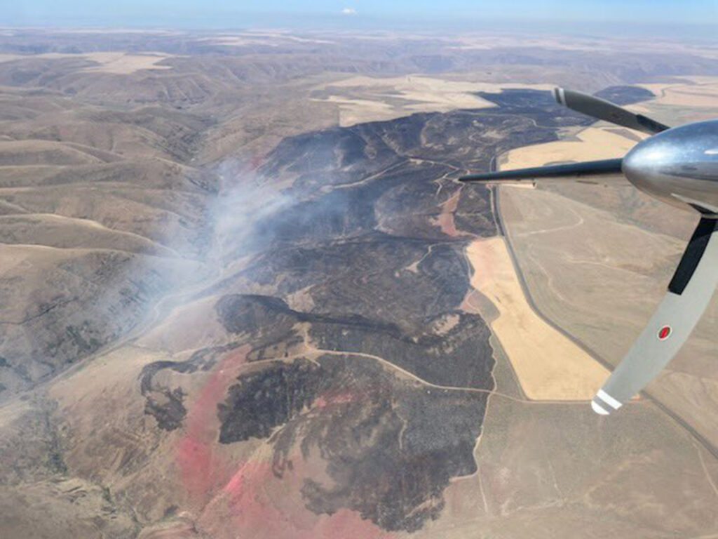 A picture from an airplane looking down at the Devil's Butte fire in Gilliam County. The ground is burned with a small puff of smoke.