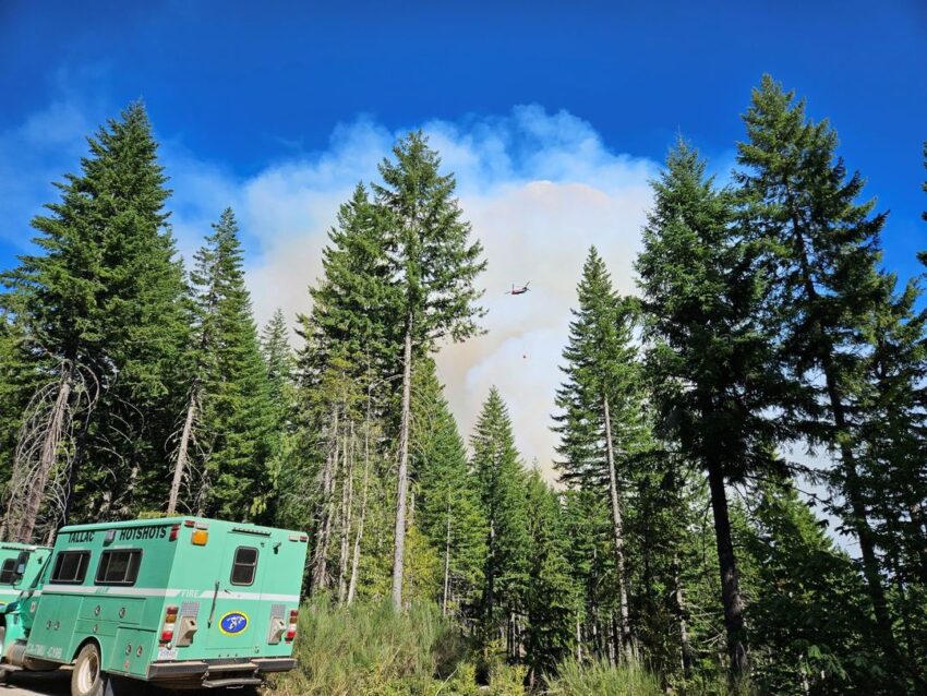 Smoke from the Bedrock Fire in Lane County rising above the forest.