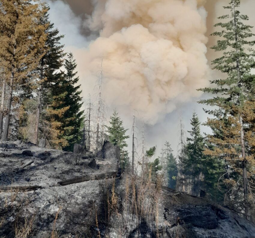 Smoke column rising on the Bedrock fire in Lane County Oregon.