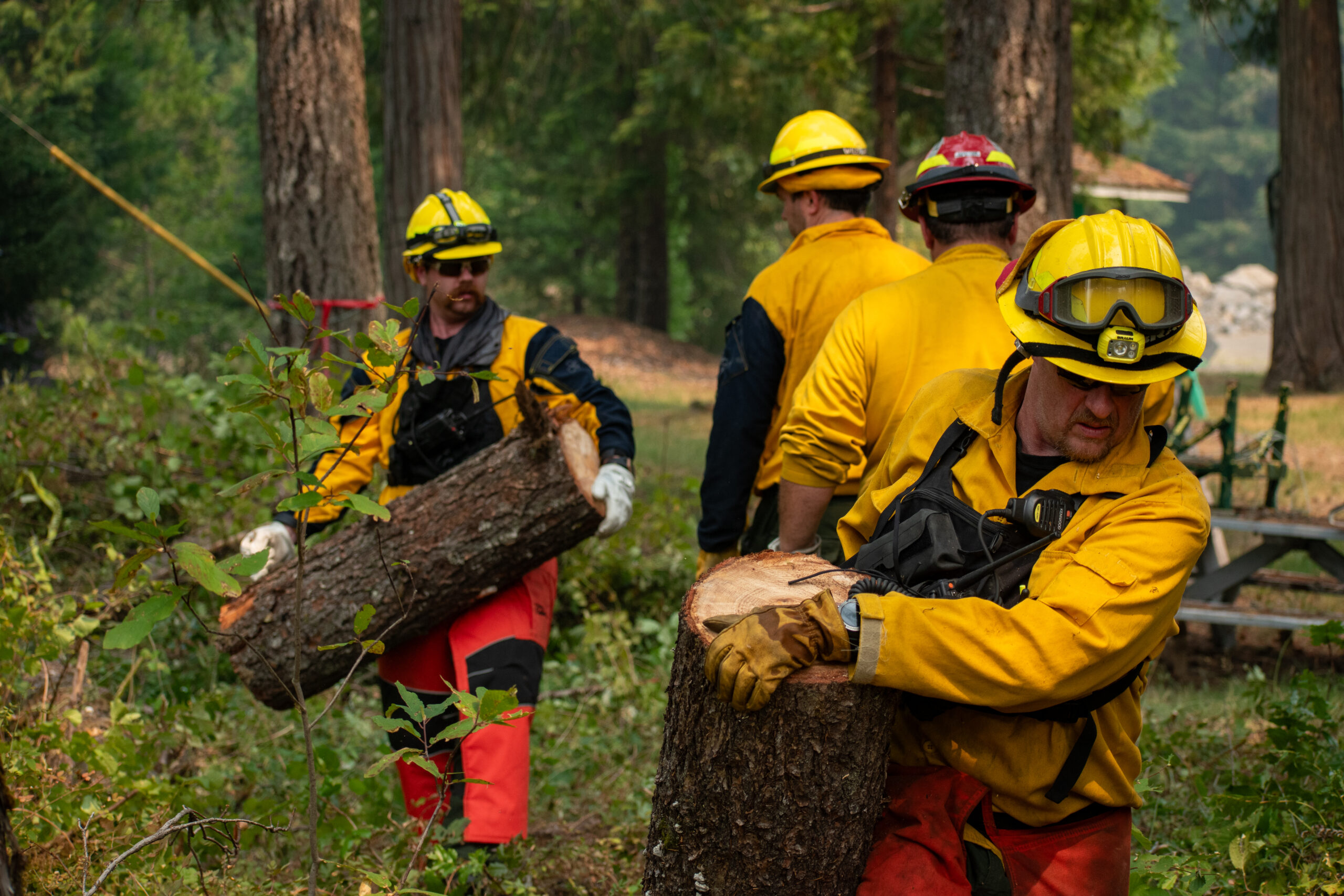 Firefighter creating defensible space around buildings near the Lookout Fire in Lane County