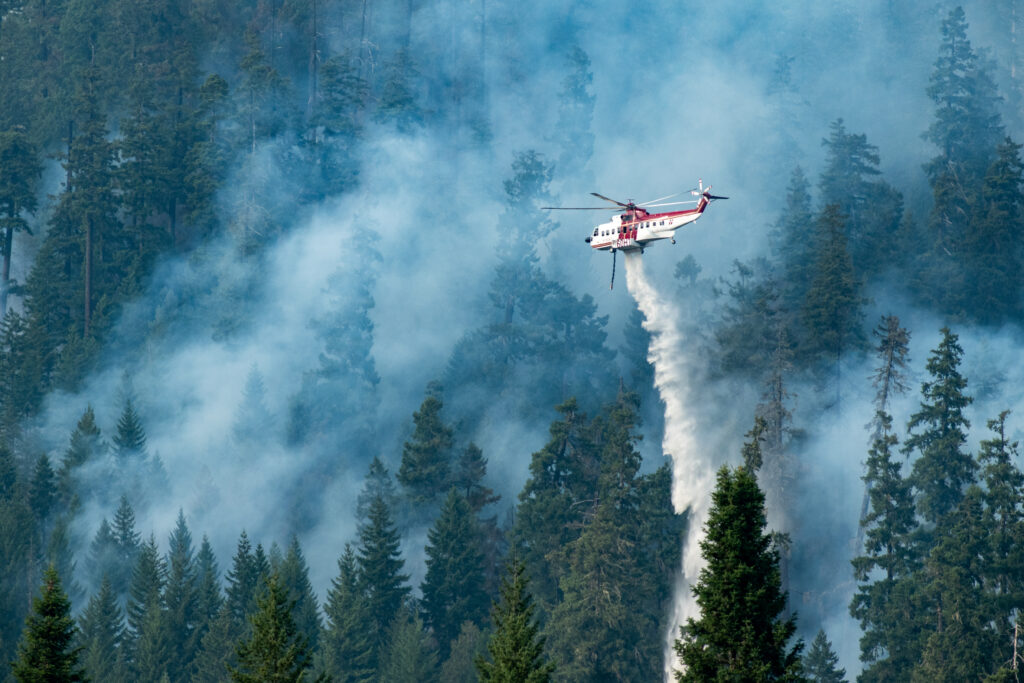 A helicopter dropping water on the Lookout Fire in Lane County