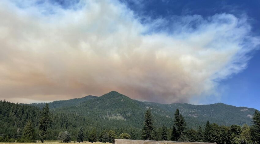 Smoke rising into the air from the Lookout Fire in Lane County.