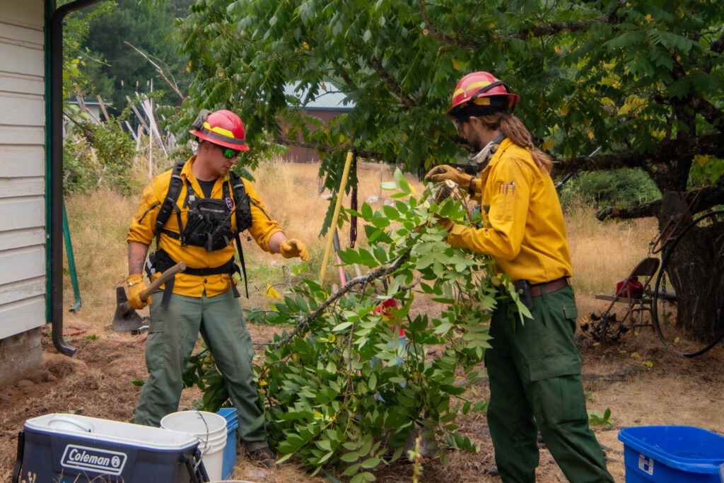 Two firefighters moving tree limbs to create defensible space around a home on the Smith River Complex. 