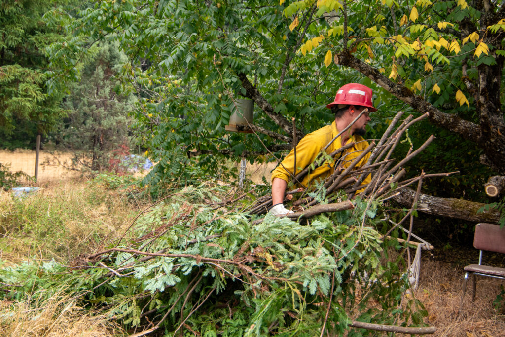 A firefighter pulling tree limbs and brush