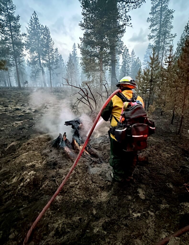 A firefighter with a hose spraying water on a smoldering stump.