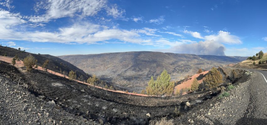 Burned landscape from the Lone Rock Fire in Gilliam County.