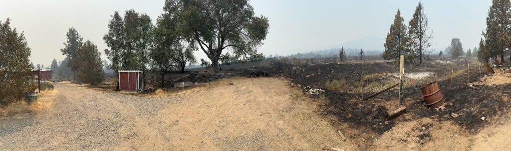 View of how close the fire got to thomes. Burnt earth comes right to the gravel and homes