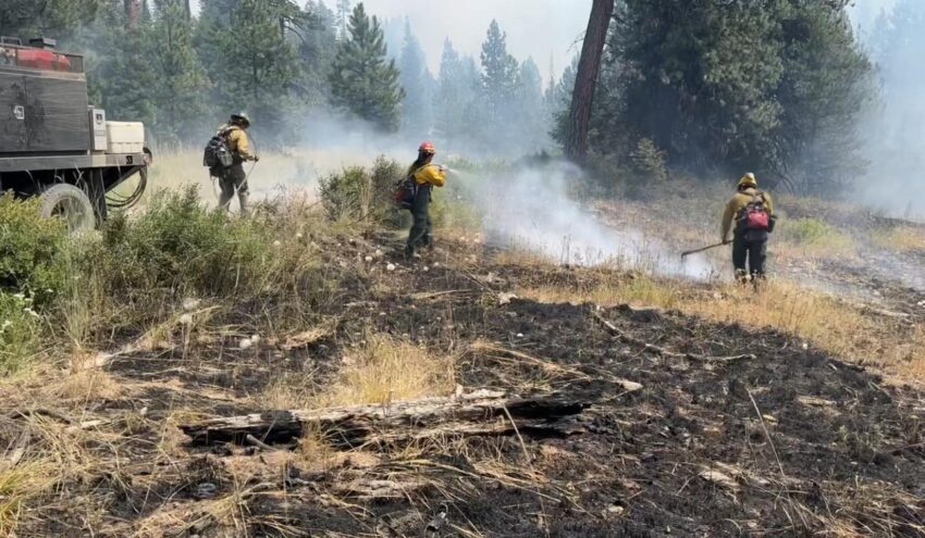 Firefighters working to mop up on the fire line of the lone rock fire