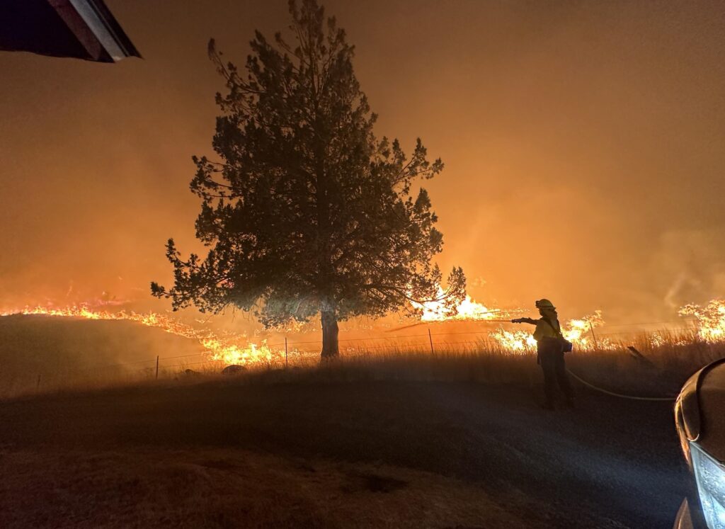 Firefighter water down tree during night firing operations on the Lone Rock Fire