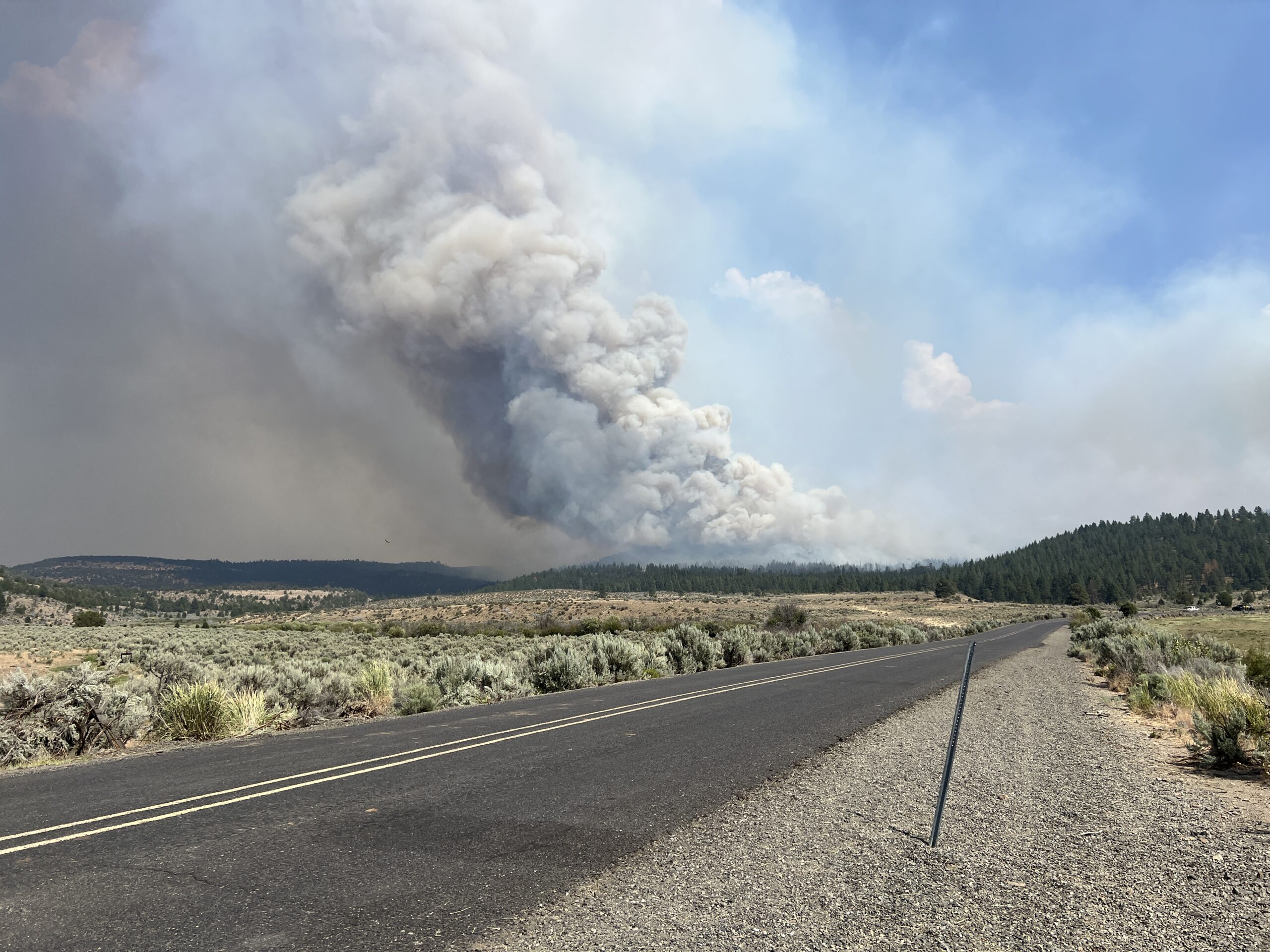 smoke column rising over the Falls Fire