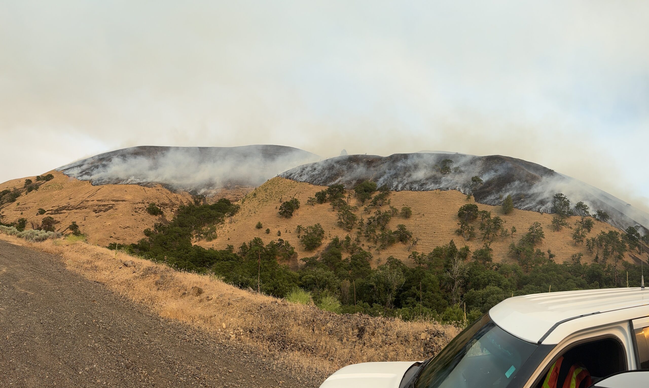 Fire moving down the hillside on the Larch Creek Fire.