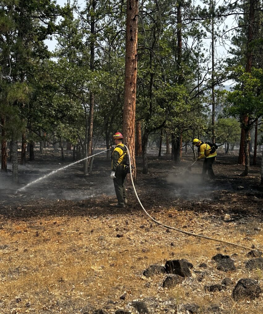 A firefighter spraying water on the Larch Creek Fire.