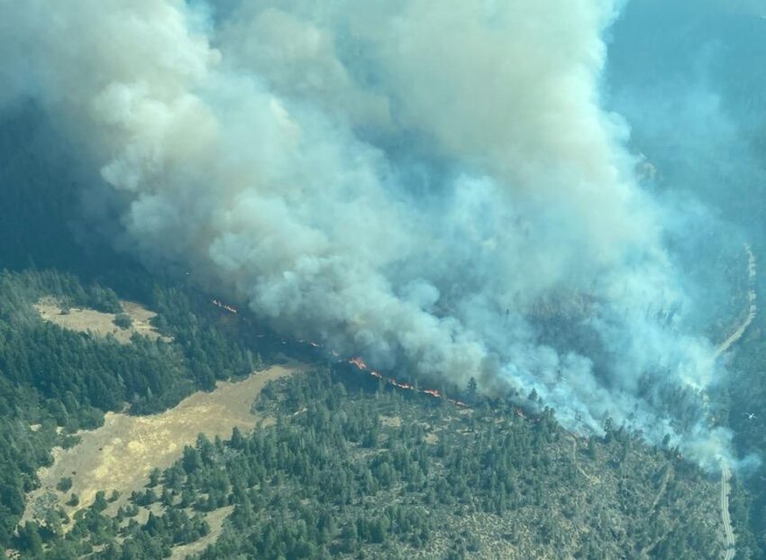 Dixon Fire from the air.