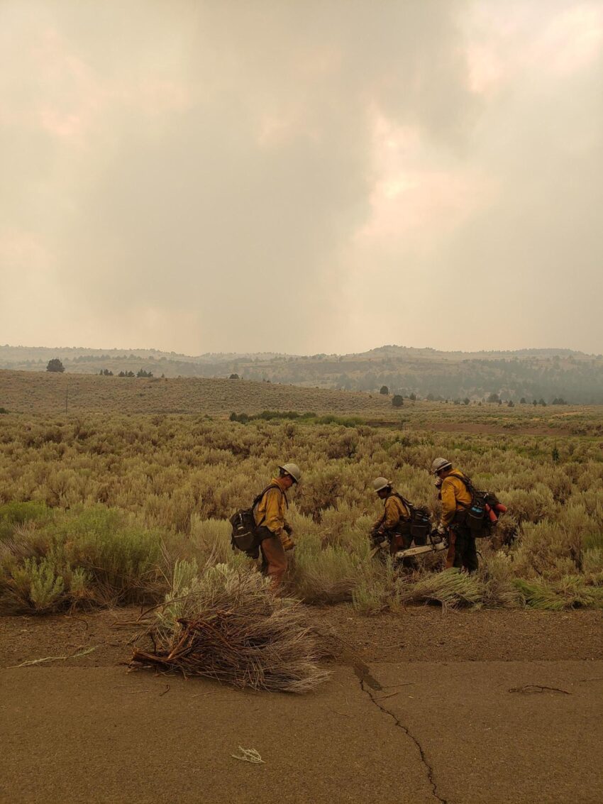 Photo of wildland firefighters working at the Telephone Fire in Harney County.