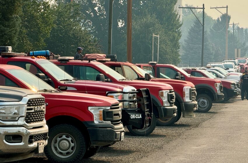 Fire engines lined up.