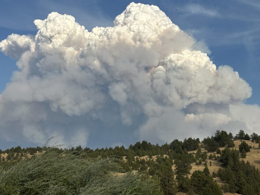 A pyrocumulus cloud at the Service Fire on September 9, 2024.