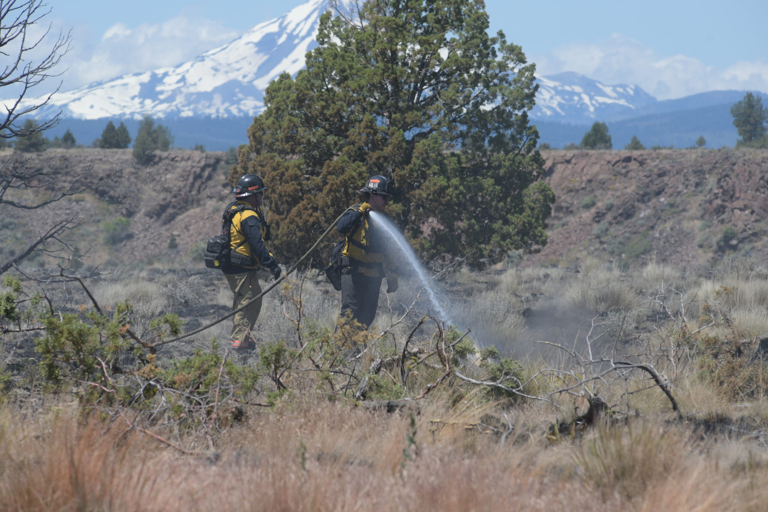 Two firefighters near a fire. One is spraying water from a hose. A tree and mountain are in the background.