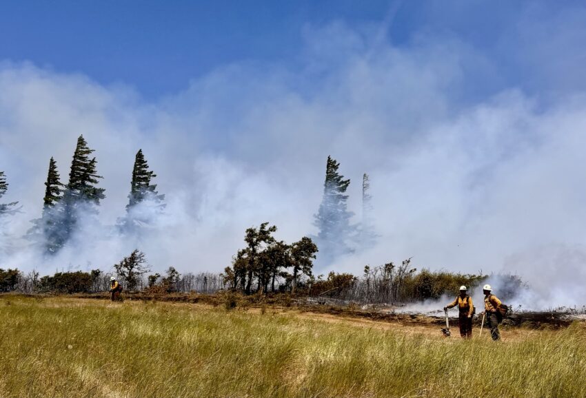 Three firefighters working on the Rowena Fire with heavy smoke and wind in the background.