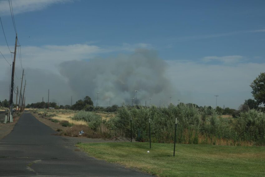 The Cold Springs Fire burns in Umatilla County. Smoke is off in the distance with grass and trees in the foreground.