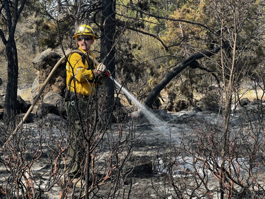 A firefighter shoots water on a burned landscape.