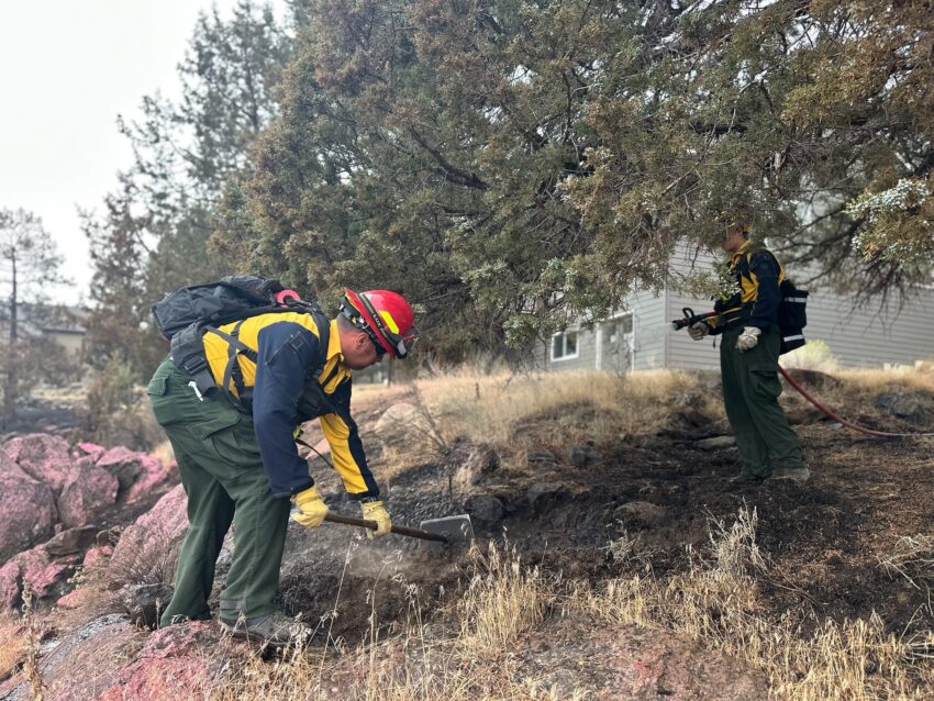 a firefighter putting out hot spots from a wildfire near a tree